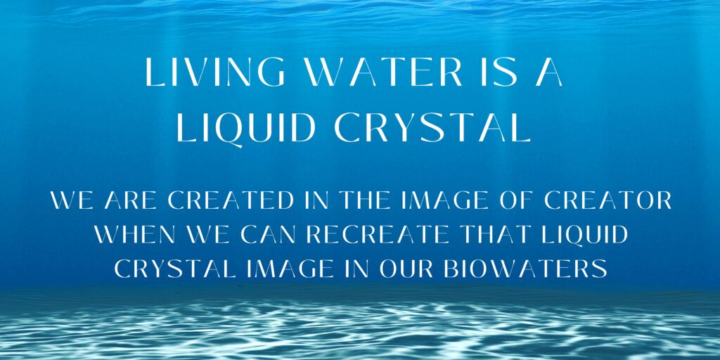 Living Water is a living crystal Activating Your Inner Crystal Waters Online Course Elaine Marie Rose Rose Heart Temple Mystery School